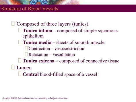 Ppt Histologi Kardiovaskuler Powerpoint Presentation Free Download