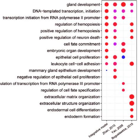 Gene Ontology Go And Kegg Pathway Enrichment Comparison In 4 Models Download Scientific