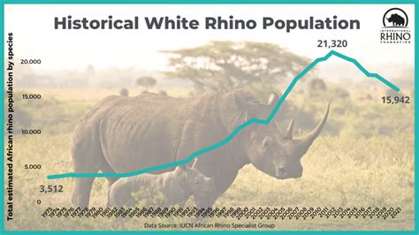 State Of The Rhino International Rhino Foundation