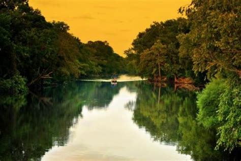 Tar River Greenville Nc Nature Tour Pretty Places Places To Go