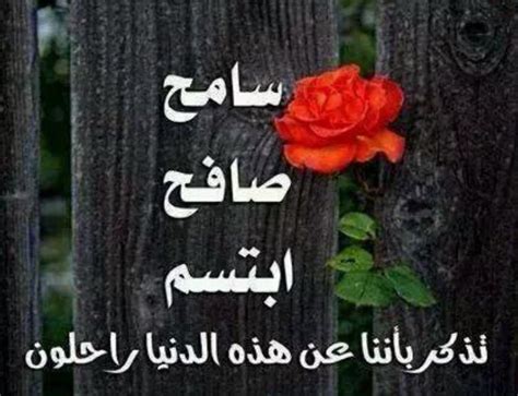 صور وحكم عن التسامح 2025 خلفيات و بوستر وبطاقات عن العفو والتسامح