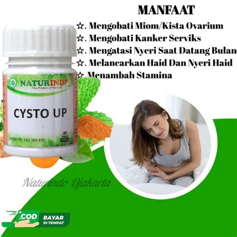 Jual Obat Kista Dan Miom Ovarium Obat Herbal Kista Bartholin Obat