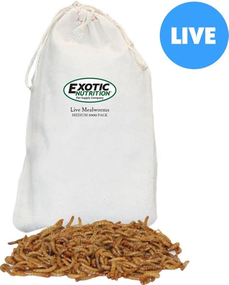 EXOTIC NUTRITION Live Mealworms Reptile Food Medium 1000 Count