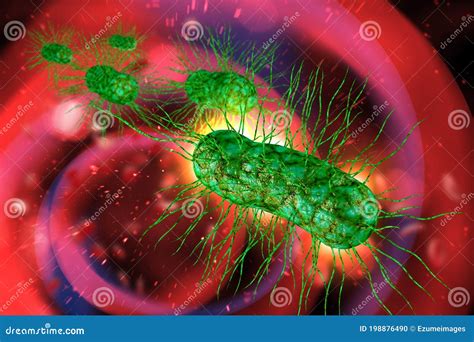 Ecoli Bacteria Cells 3d Illustration Stock Illustration Illustration Of Poisoning Bacillus