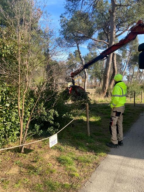 Manutenzione Del Verde Gli Interventi Nei Comparti E Della Riserva