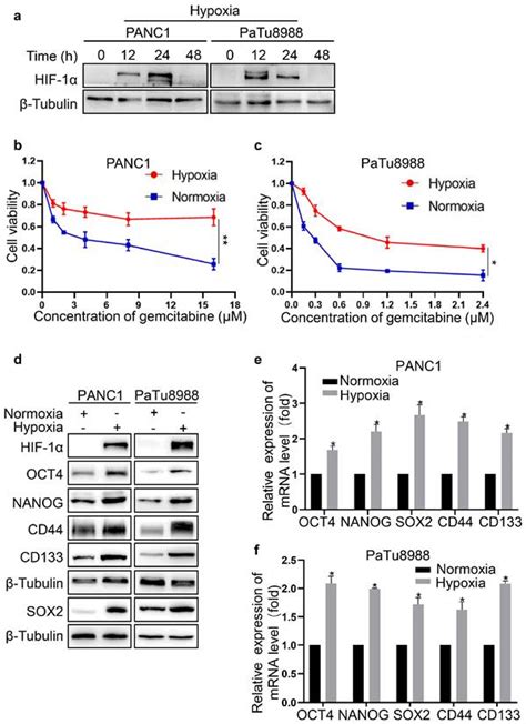 Hypoxia Elicited Exosomes Promote The Chemoresistance Of Pancreatic