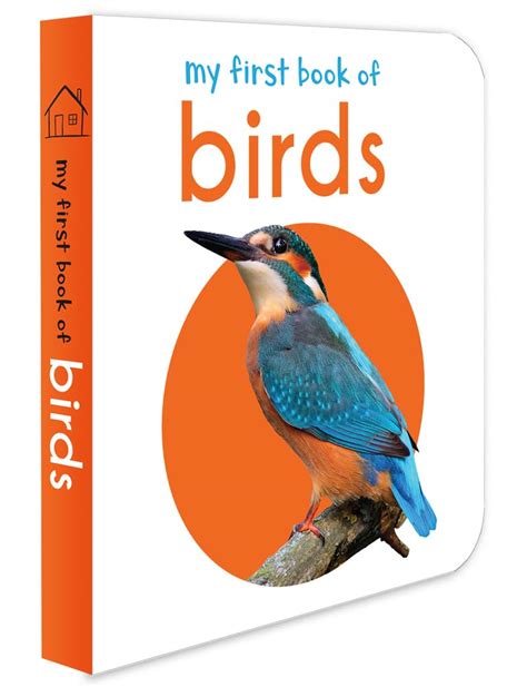 My First Book Of Birds 9789386538475 Wonder House Books