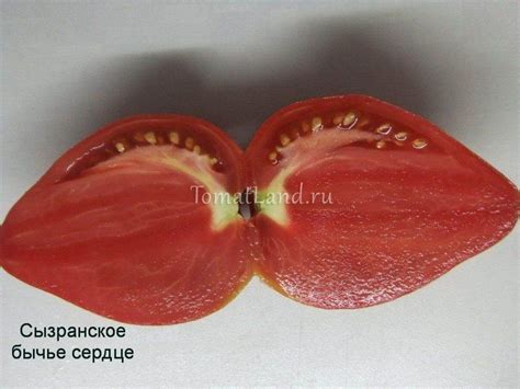 Томат Сызранское бычье сердце: отзывы, фото, описание сорта