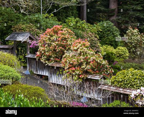 An arch in the entrance of the garden Stock Photo - Alamy