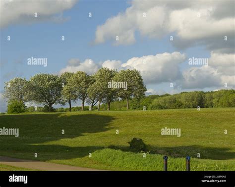 Lake Views in Stevenage Hertfordshire Stock Photo - Alamy