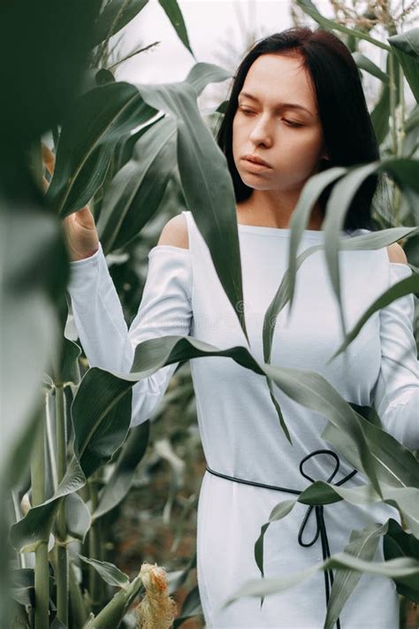A Brunette Girl In A White Dress In A Cornfield The Concept Of Harvesting Stock Image Image
