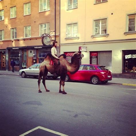 Estos tienen que ser los hipsters mas ridículos del planeta