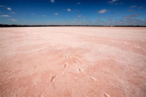 Pink Lake Victoria Australia Stock Photo - Image of lochiel, barren ...