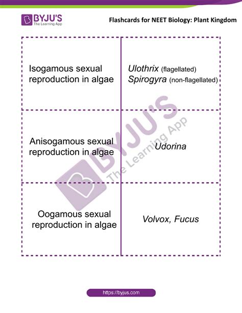 Neet Biology Flashcards Plant Kingdom Download Printable Pdf