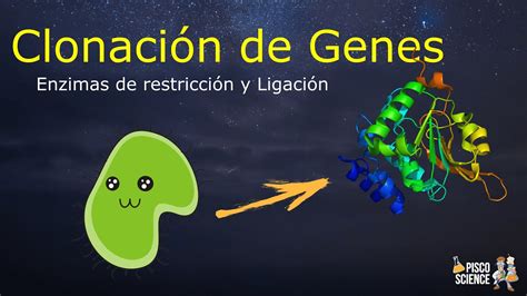 Teoría De La Clonación De Genes Youtube