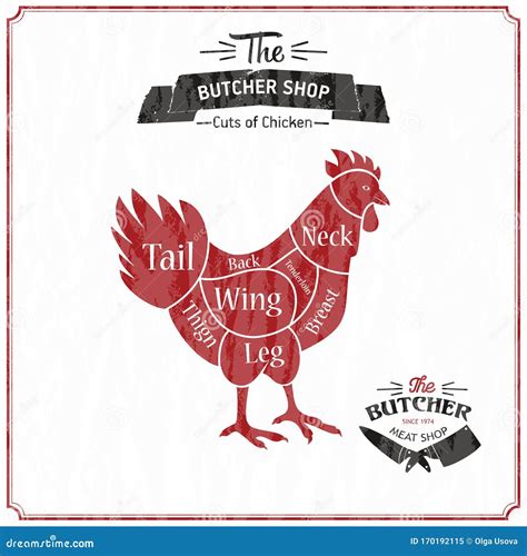 Cut Of Meat Set Poster Butcher Diagram And Scheme Chicken Vector