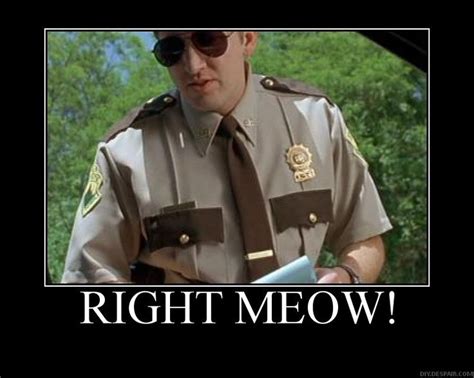 Super Troopers Right Meow Super Troopers Quotes Funny Movies Super