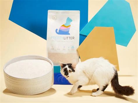 Get The Scoop On Prettylitter The Smart Litter That Can Save Your Cat