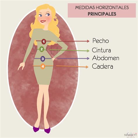 Cómo tomar las medidas corporales Cuerpo mujer Medidas horizontales