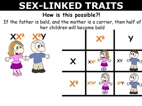 05 Sex Linked Inheritance