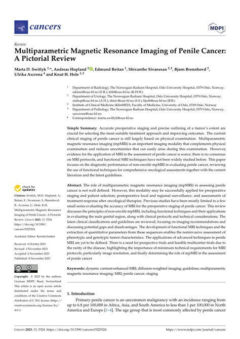 PDF Multiparametric Magnetic Resonance Imaging Of Penile Cancer A