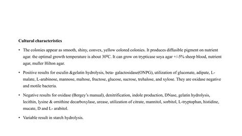 Non Fermentative Gram Negative Bacilli Ppt