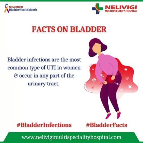 Ppt Facts On Bladder Best Urology Hospitals In Bangalore Nelivigi