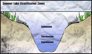 Lotic Systems vs. Lentic Systems