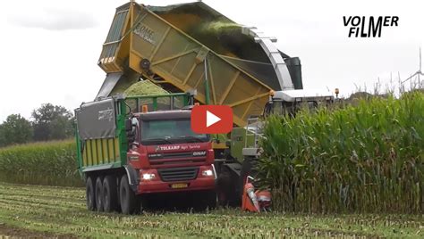 2021 Corn Chopping In Europe Claas Jaguar 870 Forage Harvester With