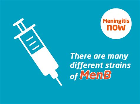 FAQs On The MenB Vaccine Bexsero Meningitis Now