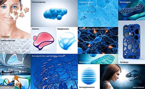 IQ on Behance