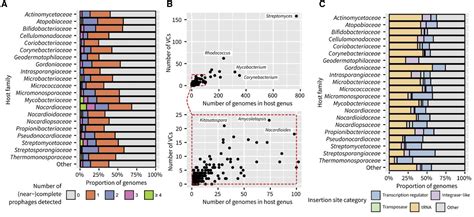 Expanding The Genomic Encyclopedia Of Actinobacteria With Isolate