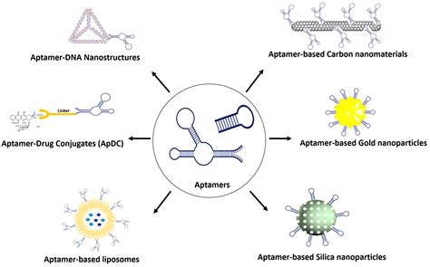 Targeted Drug Delivery Systems With Aptamers Encyclopedia Mdpi