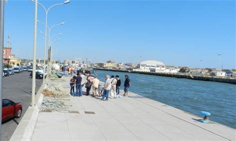 Sequestrati 400 Kg Di Pesce Avariato QFiumicino