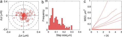 Instantaneous And Mean Square Displacements As Fundamental Motion