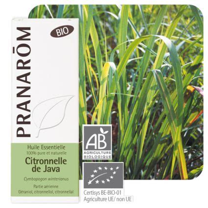 Óleo Essencial de Citronela de Java Cymbopogon winterianus BIO 10ml