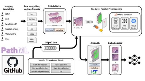 Digital Pathology GitHub Topics GitHub