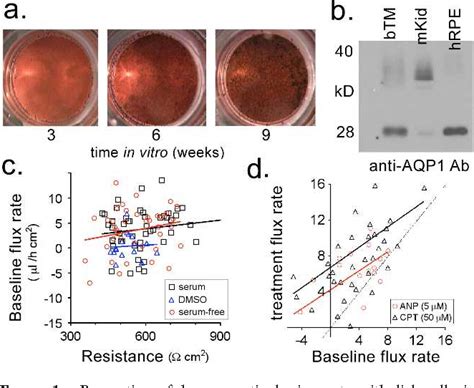 Figure From Stimulation Of Aquaporin Mediated Fluid Transport By