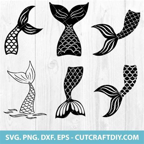 Mermaid Tail Svg Mermaid Tail Png Clipart Eps Dxf Cricut