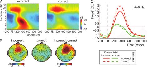 Medial Frontal Theta Power Was Predictive Of Learning From Negative Download Scientific Diagram