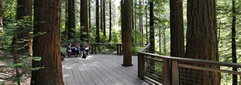 Redwood Deck Hoyt Arboretum