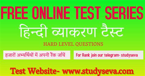 Reet Hindi Vyakaran Test Level 1 Study Seva