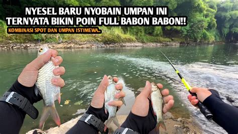 Nyesel Baru Nyobain Umpan Ini Poin Tawes Full Babon Mancing Teknik