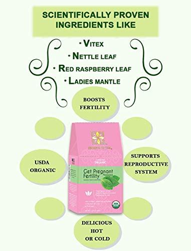 Secrets Of Tea Get Pregnant Fertility Tea Usda Organic Peppermint Tea For Fertility Support