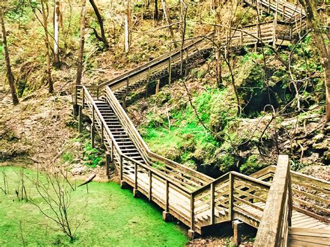 This Mysterious Florida State Park Devil S Millhopper Is Worth A Visit From Anywhere In Florida