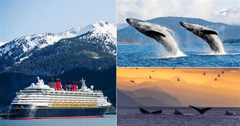 Alaska Cruise Offers Alaska Cruises From Seattle NCL Alaska Cruises