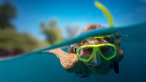 Te Apetece Probar El Buceo O Snorkel An Mate Y Sum Rgete En Un Mundo