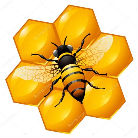 La Abeja En La Parte Del Panal Vector Gr Fico Vectorial Pazhyna