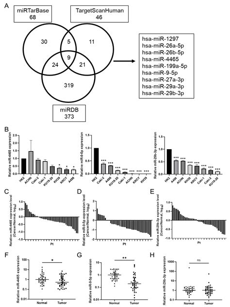 Cimb Free Full Text Micrornas As Potential Regulators Of Gsk 3β In