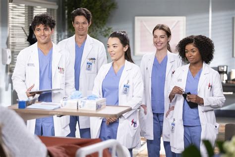 Grey's Anatomy Season 19: New and Returning Cast | PS Entertainment